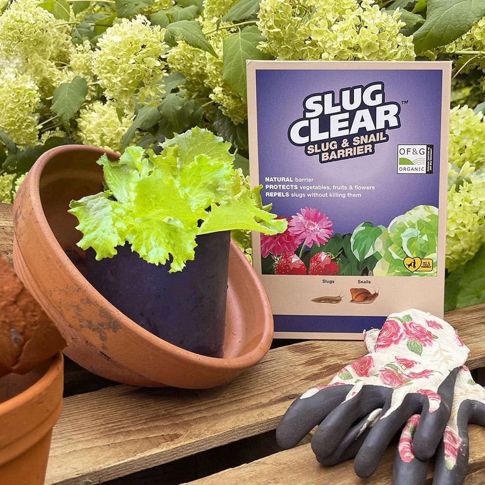Clear SlugClear Slug & Snail Barrier 2.5 kg