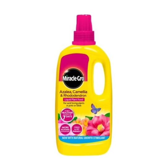Miracle-Gro Ericaceous Concentrate 1L