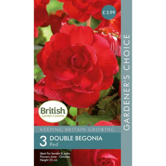 BGC Begonia Double Red