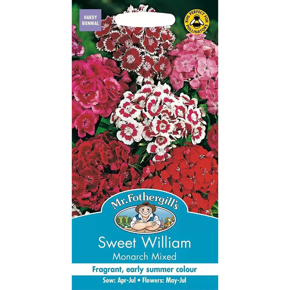 Mr Fothergill's Sweet William Monarch Mixed Seeds