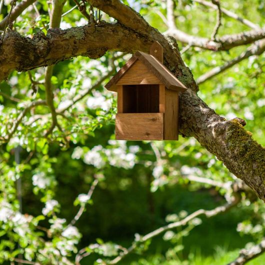 Chapel Wood Premier Robin Nest Box