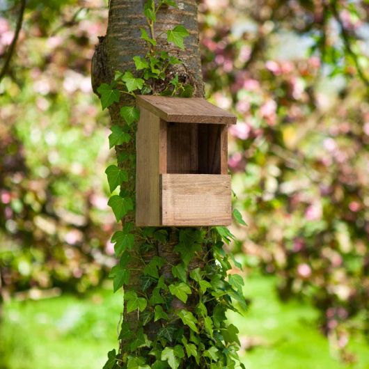 Chapel Wood Classic Robin Nest Box