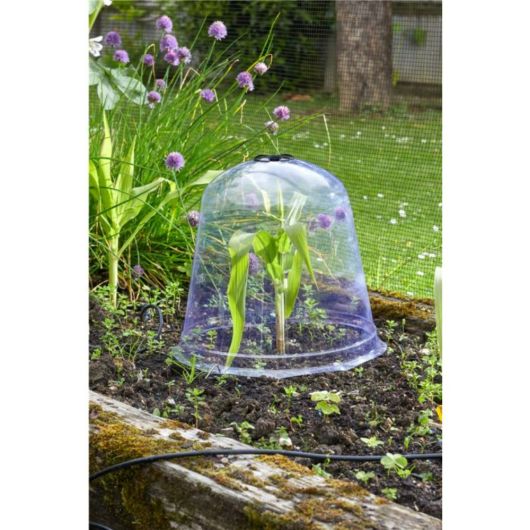 Smart Garden Jumbo Bell Cloche