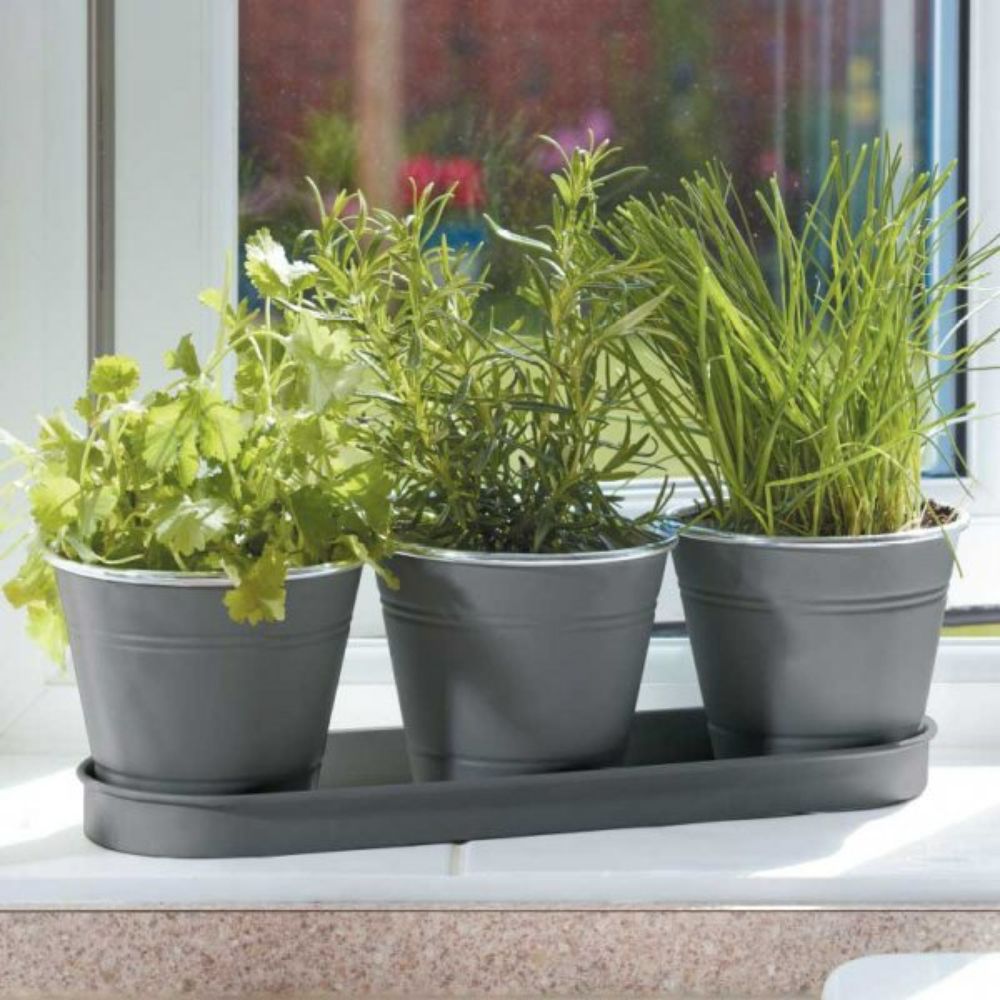 Smart Garden Windowsill Herb Pots