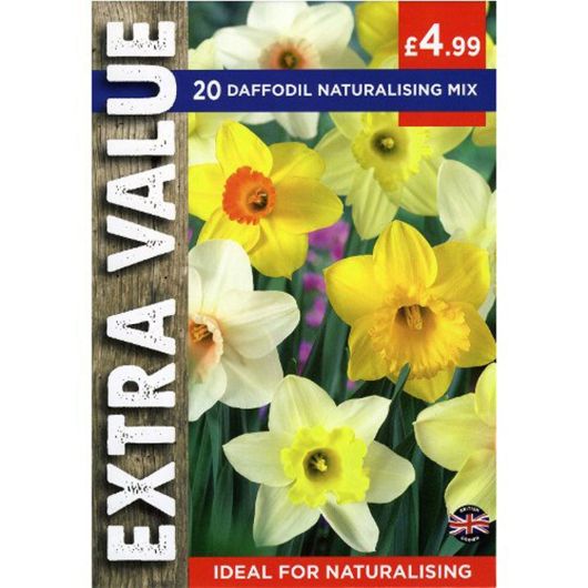 Daffodil Naturalising Mix - Pre-order