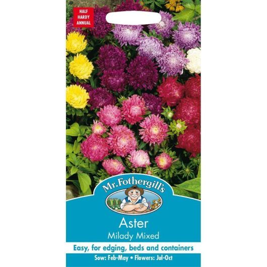 Mr Fothergills Aster Milady Mixed
