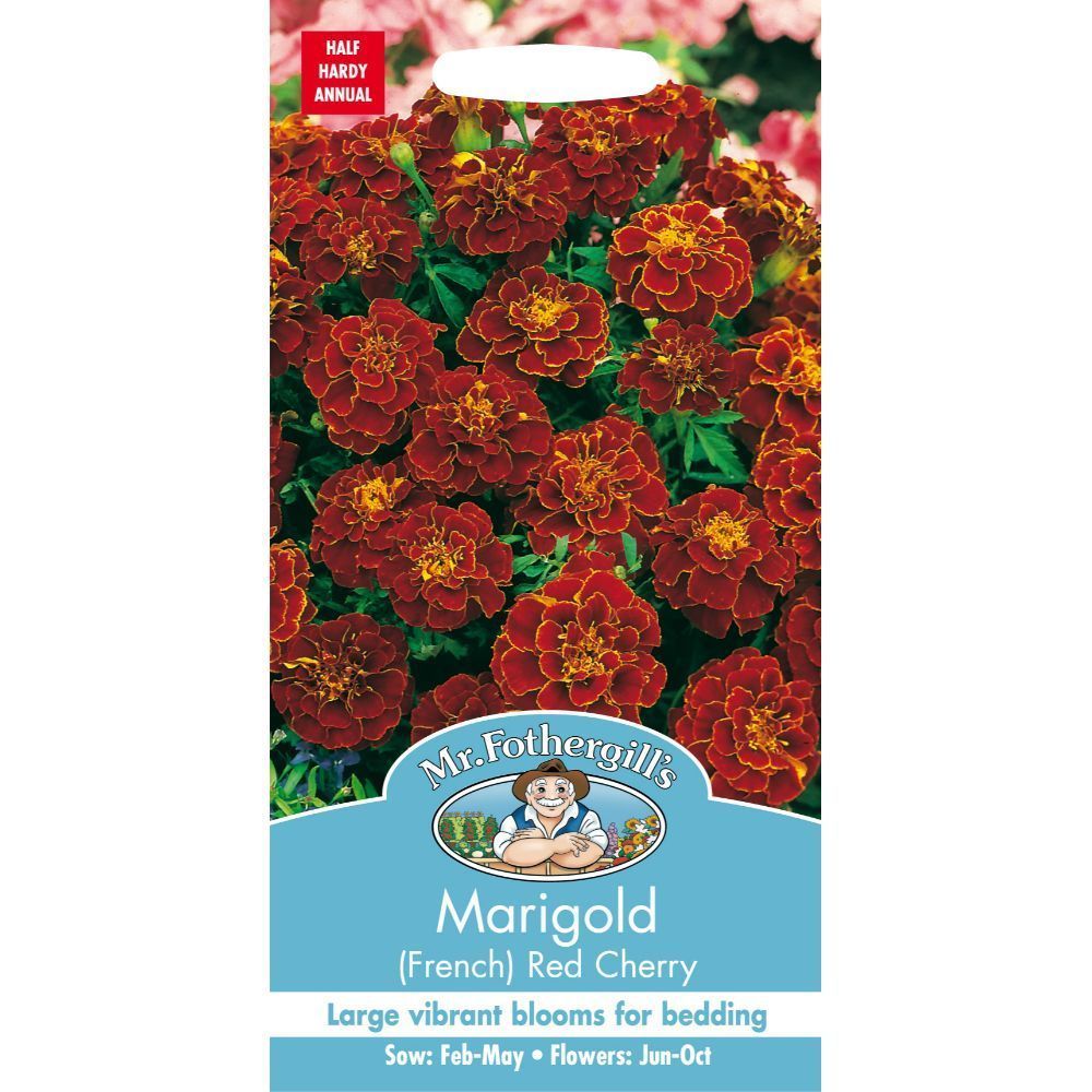 Mr Fothergills Marigold French Red Cherry