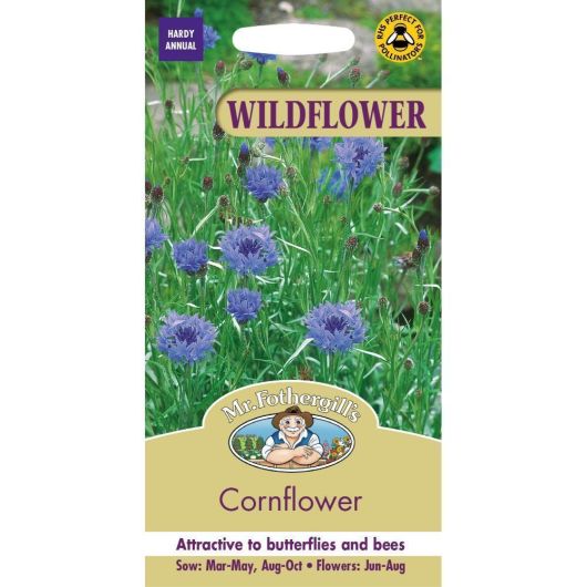Wildflower Cornflower