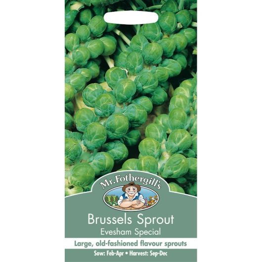 Mr Fothergill's Brussels Sprout Evesham Special