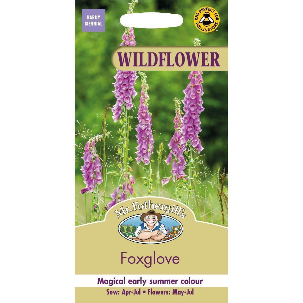 Mr Fothergills Wildflower Foxglove