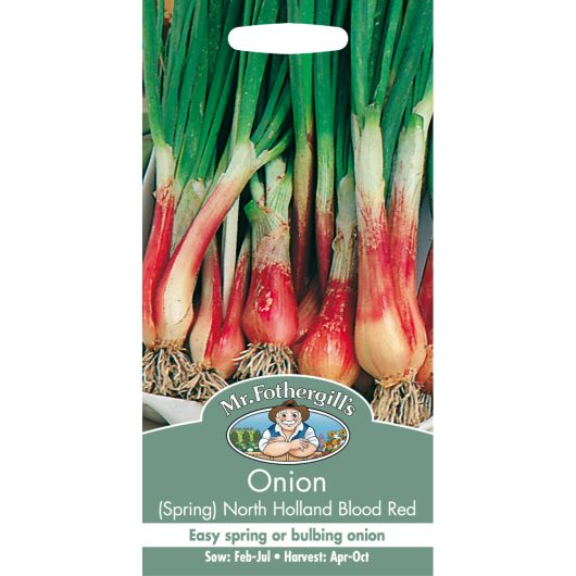 Mr Fothergill's Onion Spring North Holland Blood Red