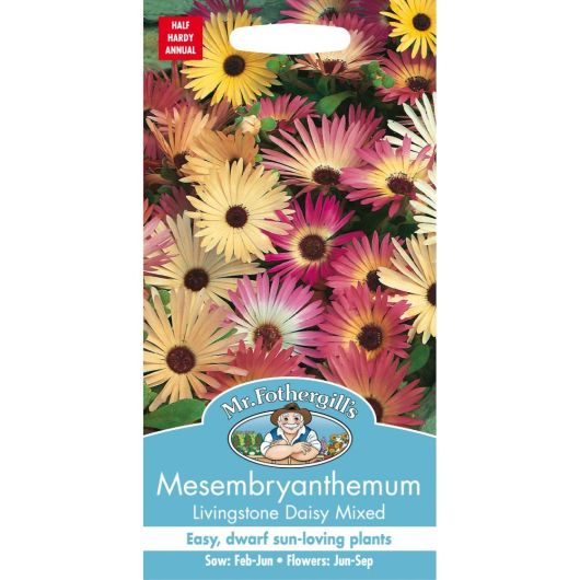Mr Fothergills Mesembryanthemum Livingstone Daisy Mixed