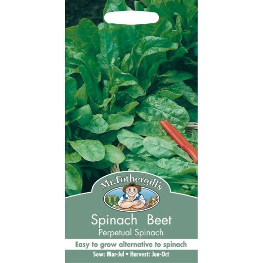 Mr Fothergill's Spinach Beet Perpetual Spinach