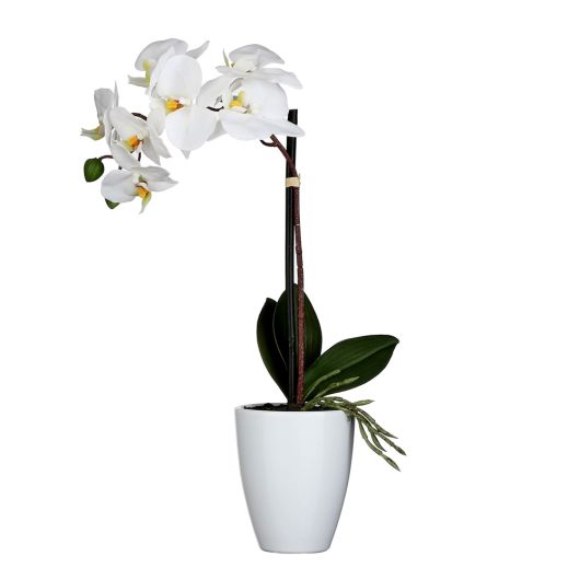 White Artificial Orchid with ceramic pot