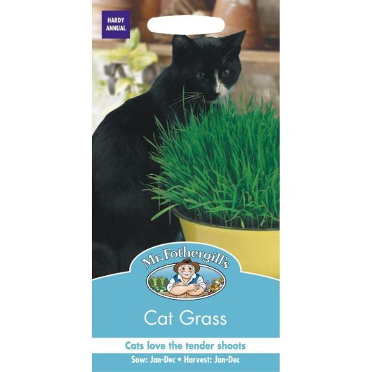 Mr Fothergill's Cat Grass Avena Sativa
