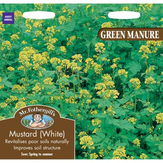 Mr Fothergill's Green Manure Mustard White
