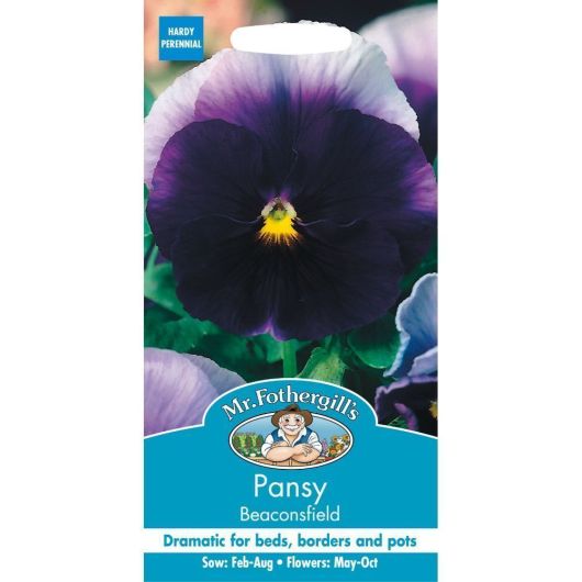 Mr Fothergill's Pansy Beaconsfield