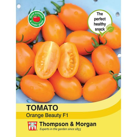 T&M Tomato Orange Beauty F1 Hybrid