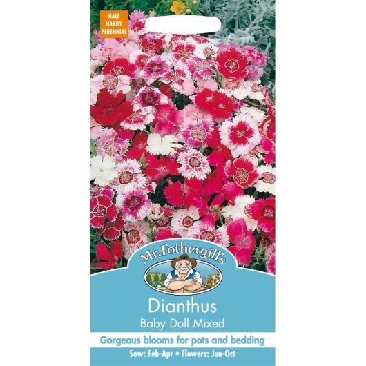 Mr Fothergills Dianthus Baby Doll Mixed