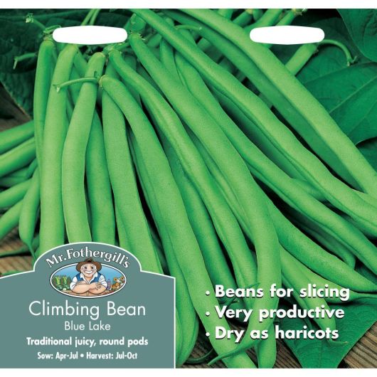 Mr Fothergill's Climbing French Bean Blue Lake