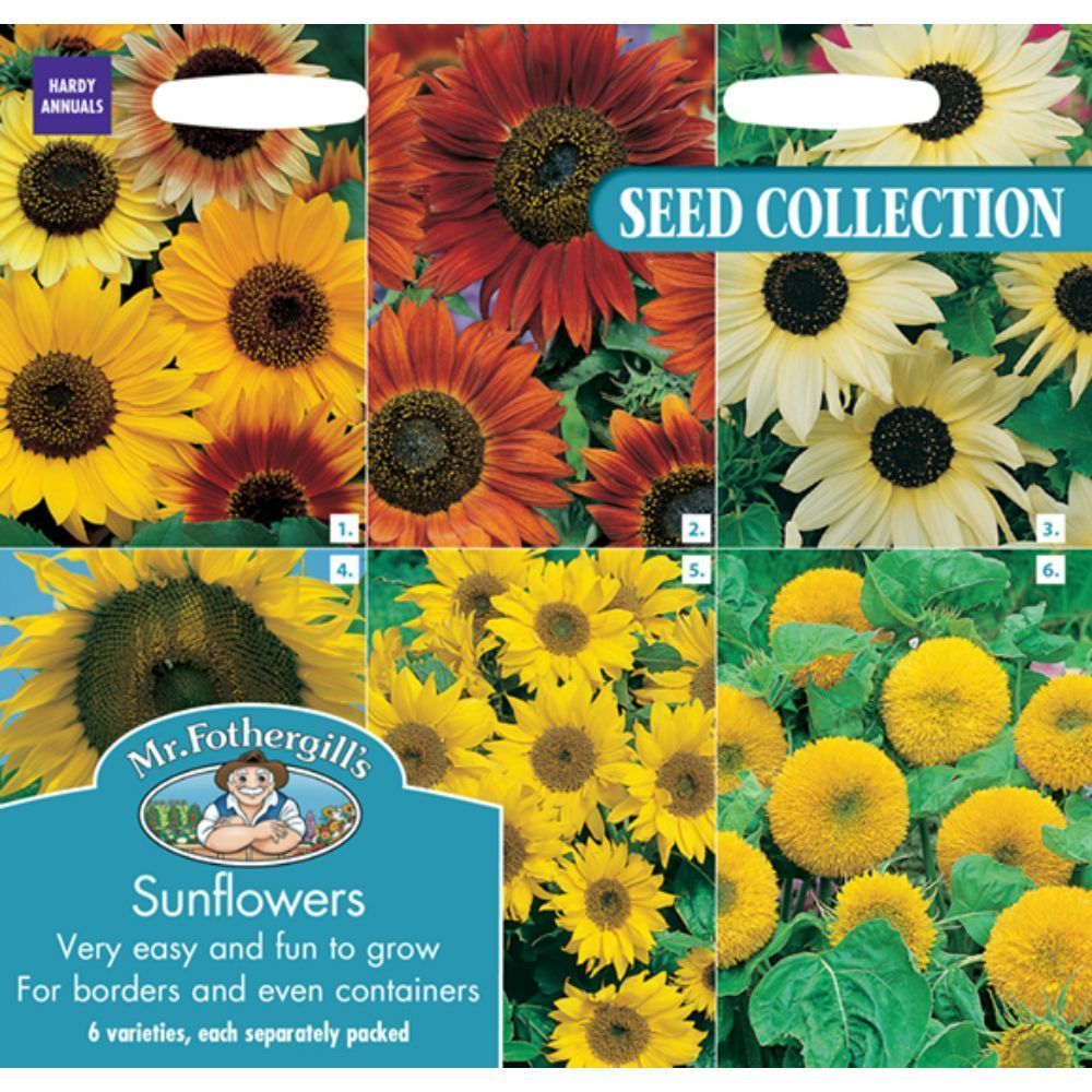 Mr Fothergills Sunflowers Collection