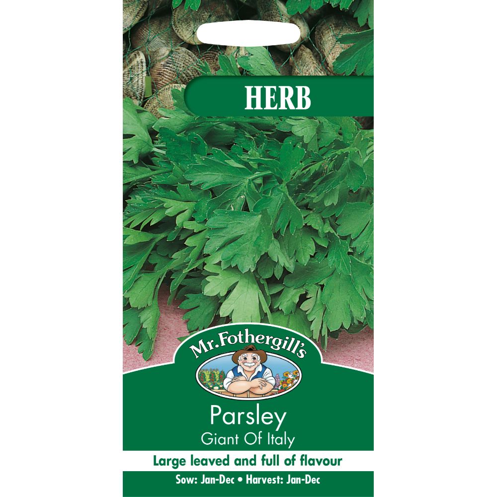 Mr Fothergill's Parsley Giant Of Italy