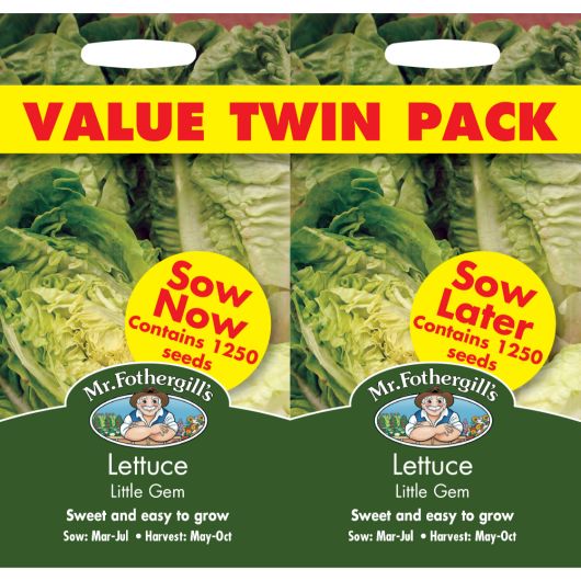 Mr Fothergill's Lettuce Little Gem Bumper Pack
