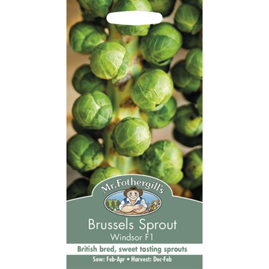 Mr Fothergill's Brussels Sprout Windsor F1