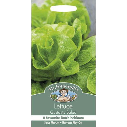 Mr Fothergill's Lettuce Gustav's Salad