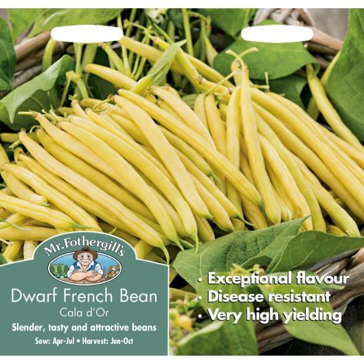 Mr Fothergill's Dwarf French Bean Cala D'Or