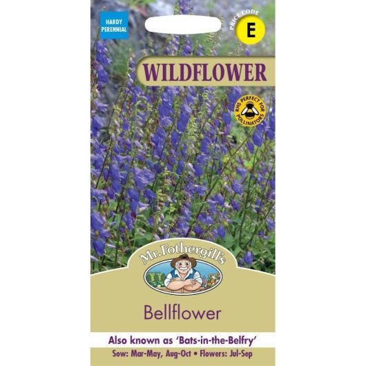 Wildflower Bellflower