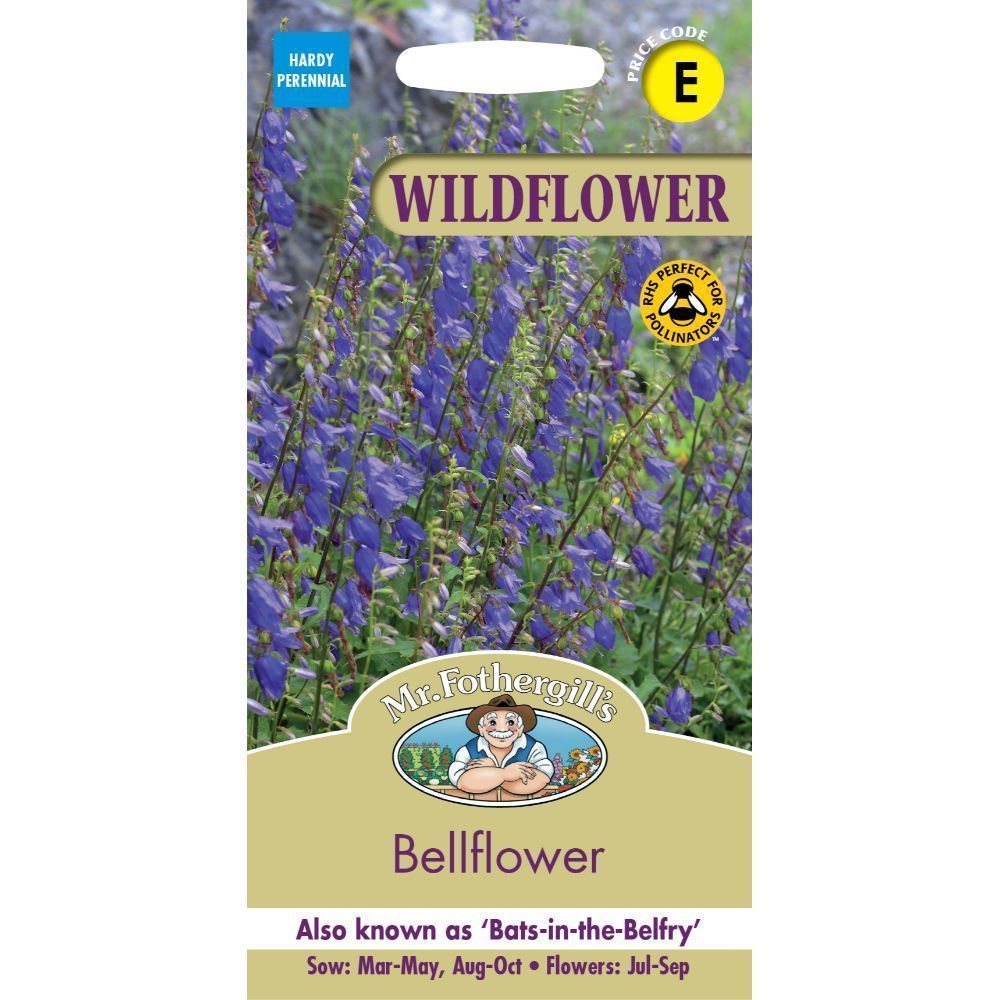 Mr Fothergill's Wildflower Bellflower