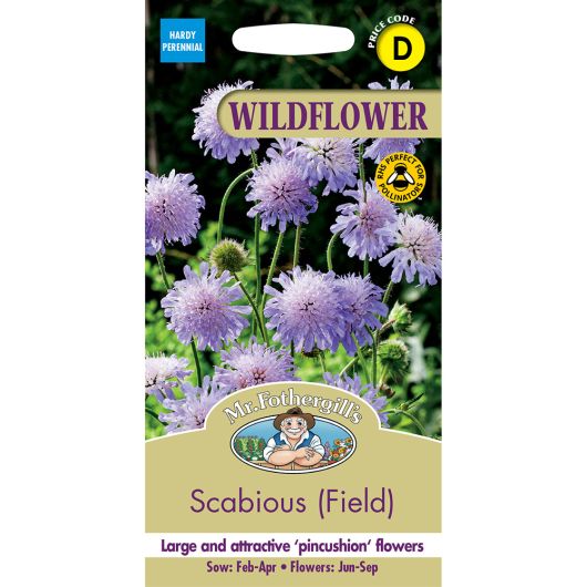 Mr Fothergill's Wild Flowers Scabious