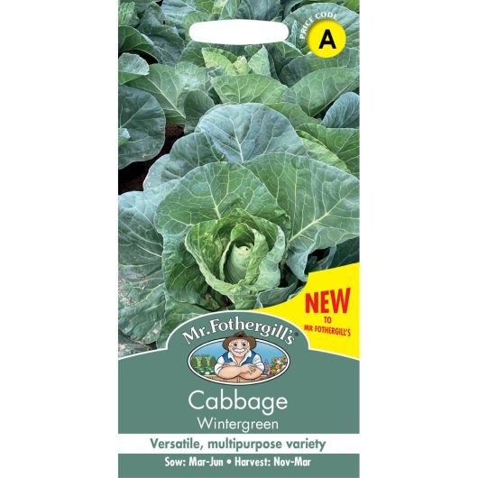Mr Fothergill's Cabbage Wintergreen