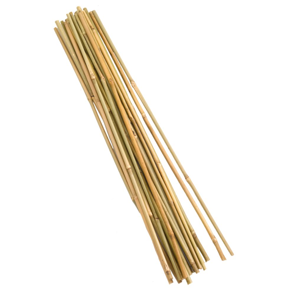 Bamboo Canes - 120 cm bundle of 20 | Garden Store Online