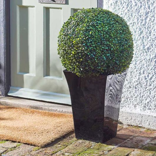 Smart Garden Topiary Boxwood Ball 48cm
