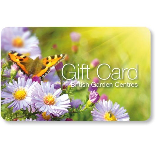 BGC Gift Card - Purple Daisy - £10