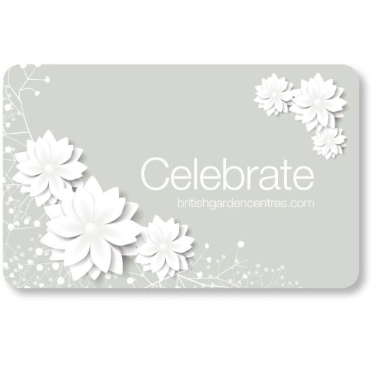 BGC Gift Card - Celebrate - £10