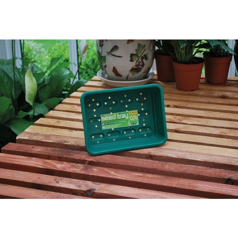 Garland Small Seed Tray in Green With Holes - 23cm x 17cm