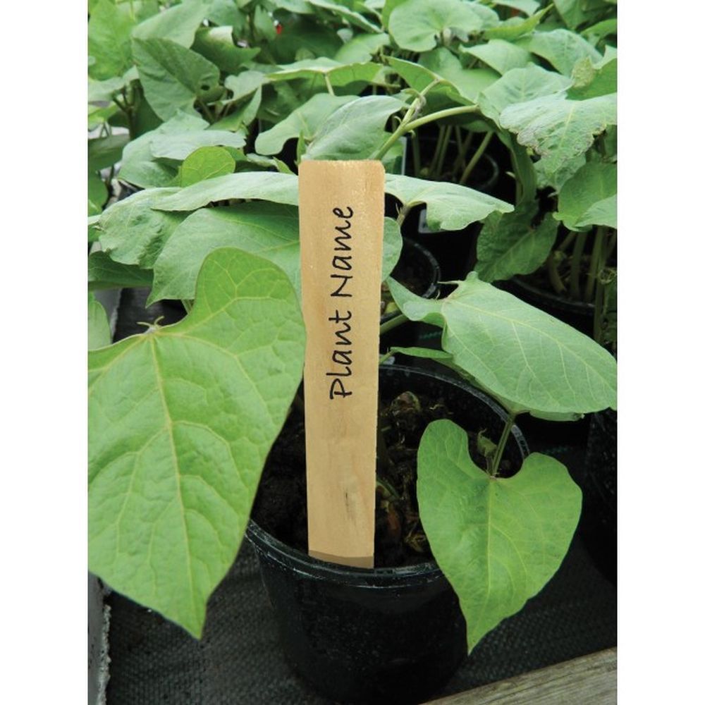 Garland 10cm Wooden Plant Labels - 10 Pack