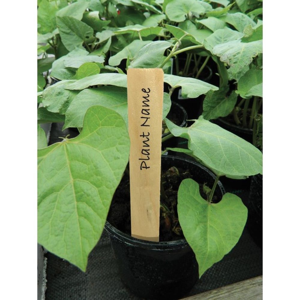 Garland 15cm Wooden Plant Labels - 10 Pack