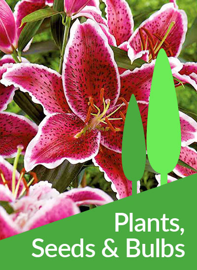 Link to Plants, Seeds & Bulbs page