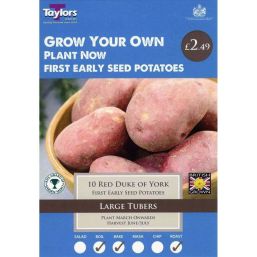Taylors Seed Potato Starter Pack - Red Duke of York (10)